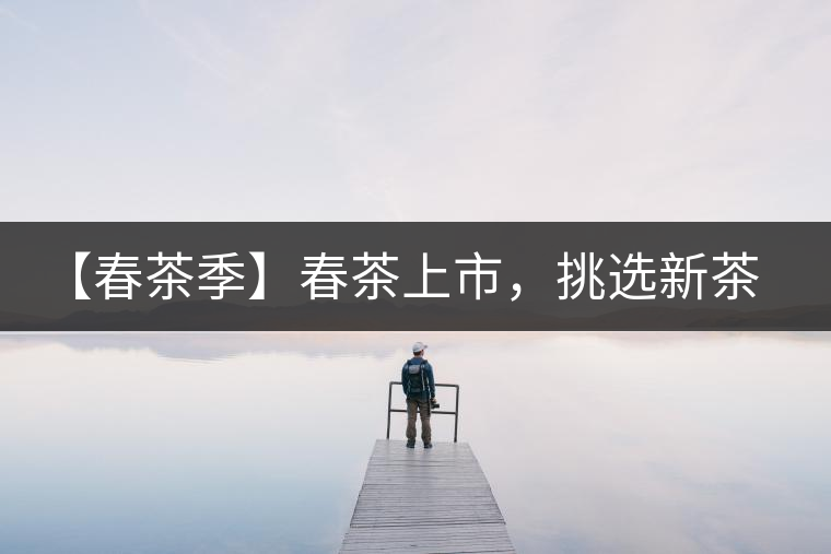 【春茶季】春茶上市，挑選新茶有講究