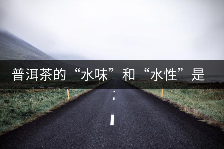 普洱茶的“水味”和“水性”是一種東西還是兩種東西？