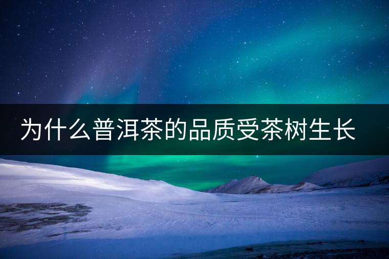 為什么普洱茶的品質(zhì)受茶樹生長環(huán)境的影響？