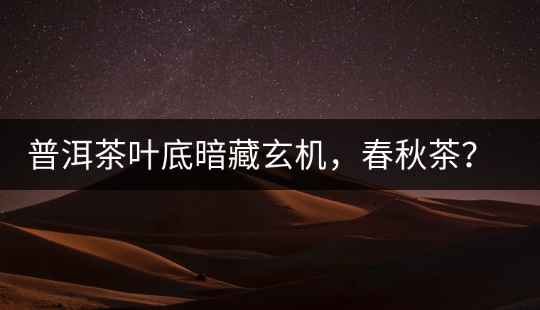 普洱茶葉底暗藏玄機(jī)，春秋茶？大樹茶？野生茶？班章料？你讀懂了嗎？