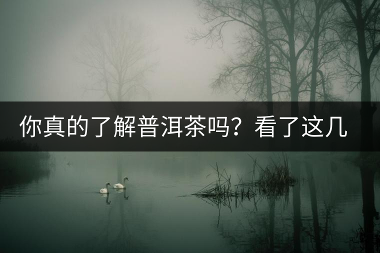你真的了解普洱茶嗎？看了這幾個(gè)問(wèn)題……