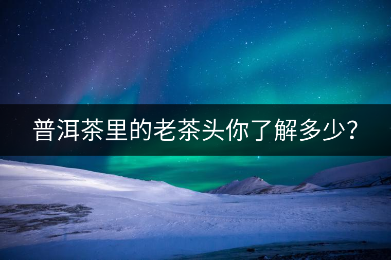 普洱茶里的老茶頭你了解多少？