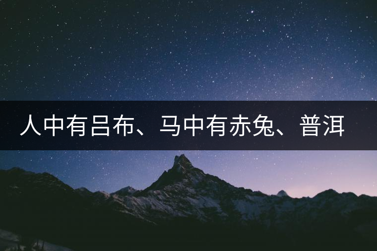 人中有呂布、馬中有赤兔、普洱中有茶化石：碎銀子！