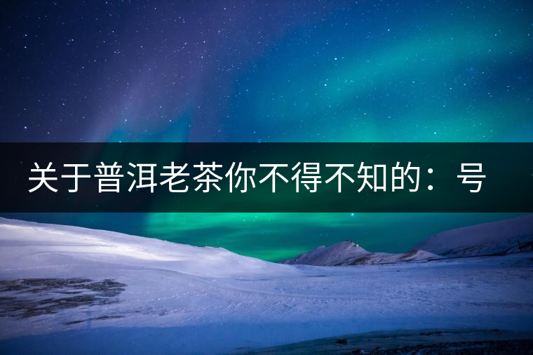 關(guān)于普洱老茶你不得不知的：號級茶、印級茶、七子餅茶