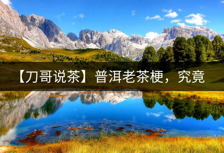 【刀哥說茶】普洱老茶梗，究竟是什么梗？