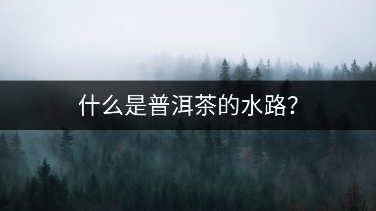 什么是普洱茶的水路？