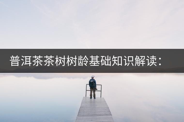 普洱茶茶樹樹齡基礎(chǔ)知識(shí)解讀：多大樹齡的茶才算古樹茶？