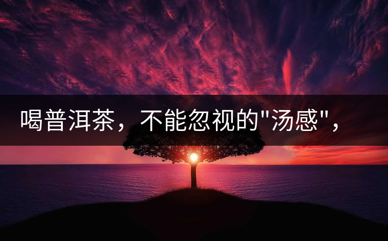 喝普洱茶，不能忽視的