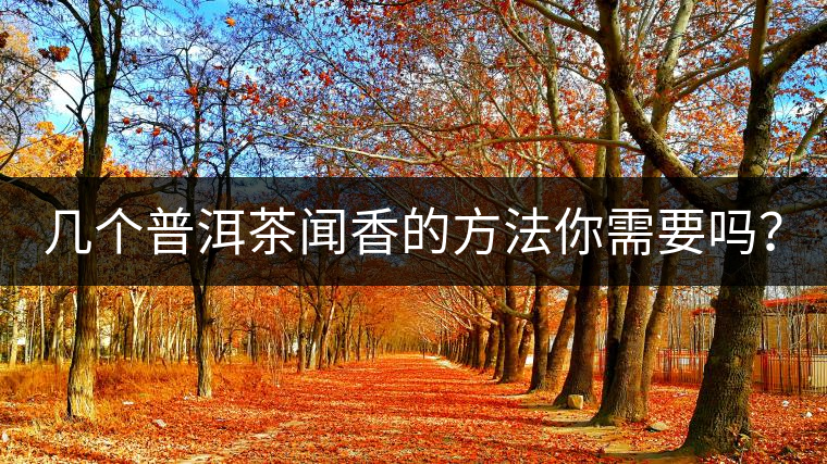 幾個(gè)普洱茶聞香的方法你需要嗎？