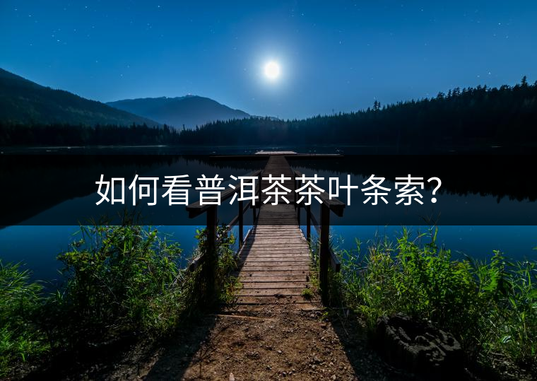 如何看普洱茶茶葉條索？