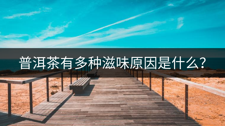 普洱茶有多種滋味原因是什么？