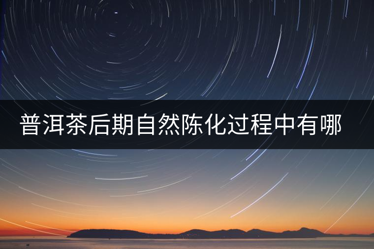普洱茶后期自然陳化過程中有哪些變化？