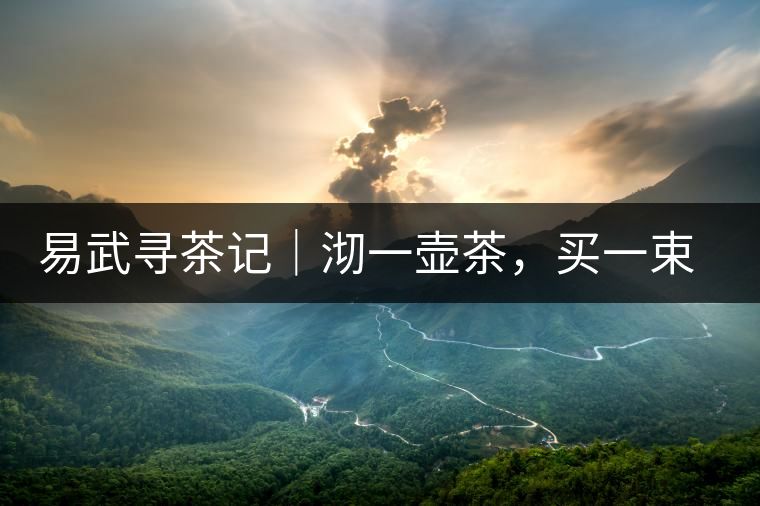 易武尋茶記｜沏一壺茶，買(mǎi)一束花，享半日余暇