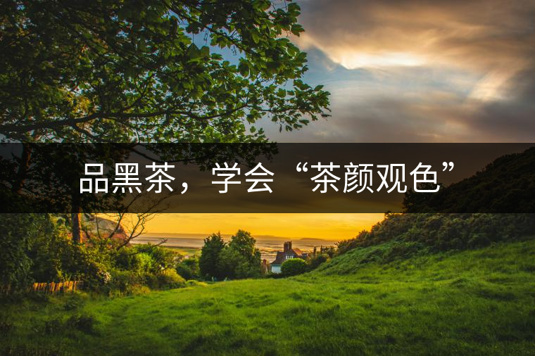 品黑茶，學(xué)會(huì)“茶顏觀色”