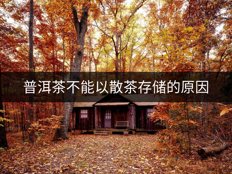 普洱茶不能以散茶存儲(chǔ)的原因 普洱茶不能以散茶存儲(chǔ)的原因