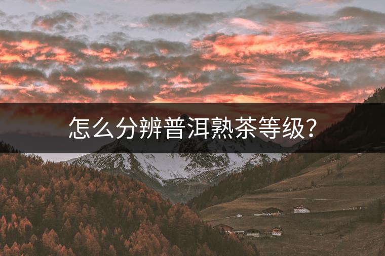 怎么分辨普洱熟茶等級(jí)？