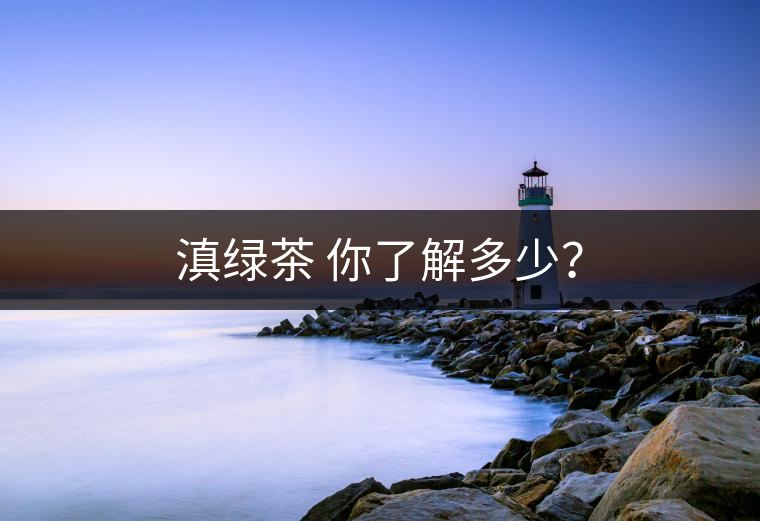 滇綠茶 你了解多少？