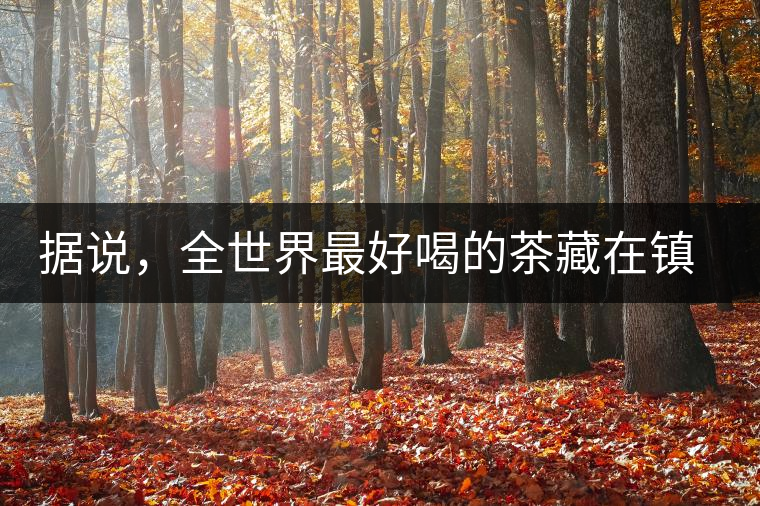 據(jù)說，全世界最好喝的茶藏在鎮(zhèn)沅