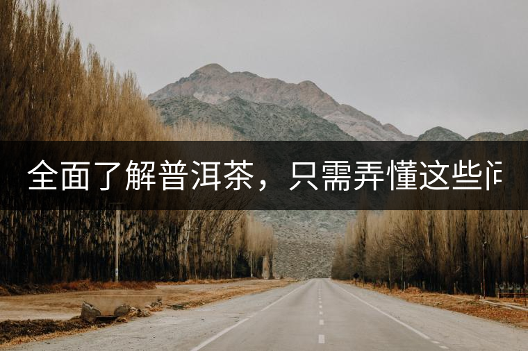 全面了解普洱茶，只需弄懂這些問(wèn)題！