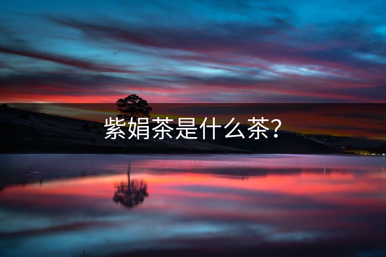紫娟茶是什么茶？