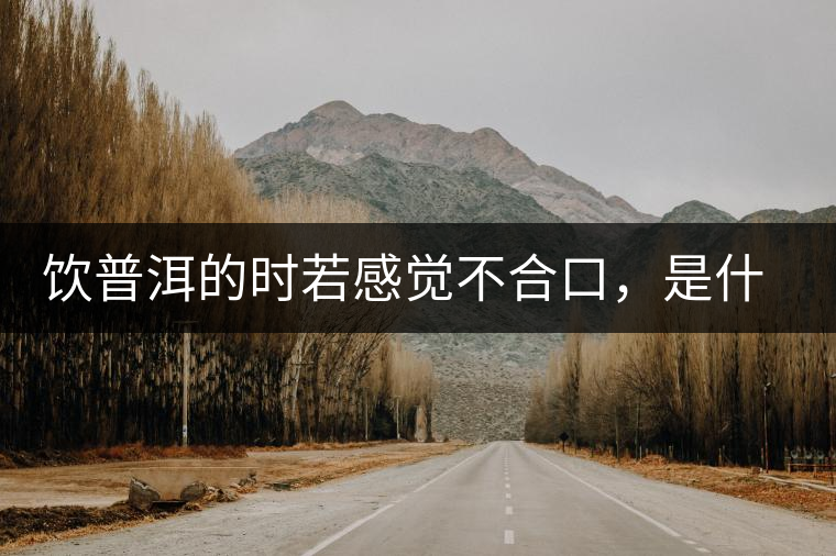 飲普洱的時若感覺不合口，是什么原呢？