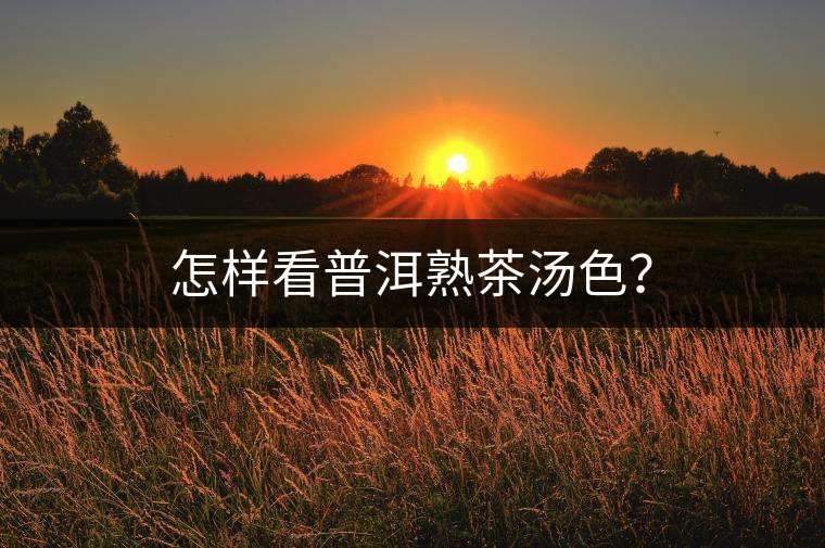 怎樣看普洱熟茶湯色？