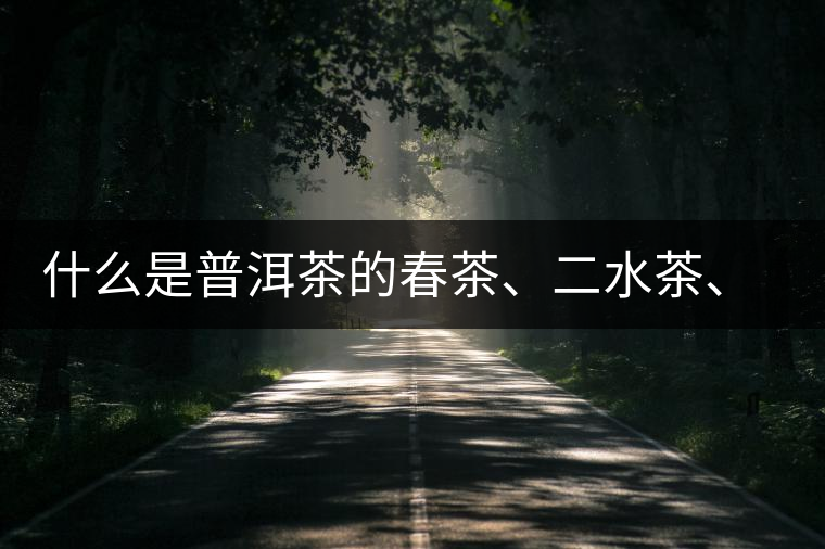 什么是普洱茶的春茶、二水茶、三水茶、四水茶