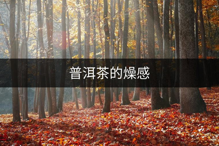 普洱茶的燥感 普洱茶的燥感