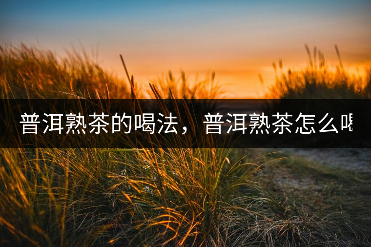普洱熟茶的喝法，普洱熟茶怎么喝？