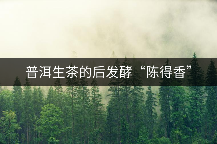 普洱生茶的后發(fā)酵“陳得香” 普洱生茶的后發(fā)酵“陳得香”