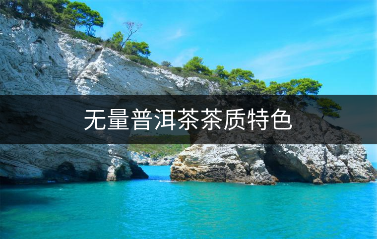 無(wú)量普洱茶茶質(zhì)特色
