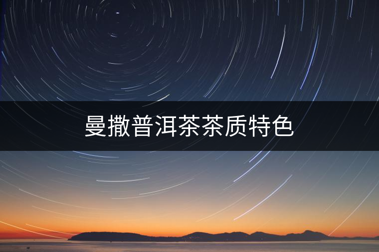 曼撒普洱茶茶質(zhì)特色