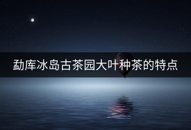 勐庫冰島古茶園大葉種茶的特點 勐庫冰島古茶園大葉種茶的特點