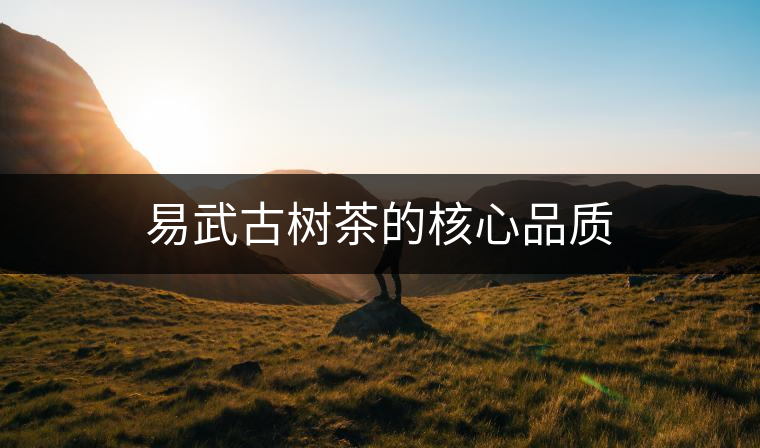 易武古樹(shù)茶的核心品質(zhì) 易武古樹(shù)茶的核心品質(zhì)