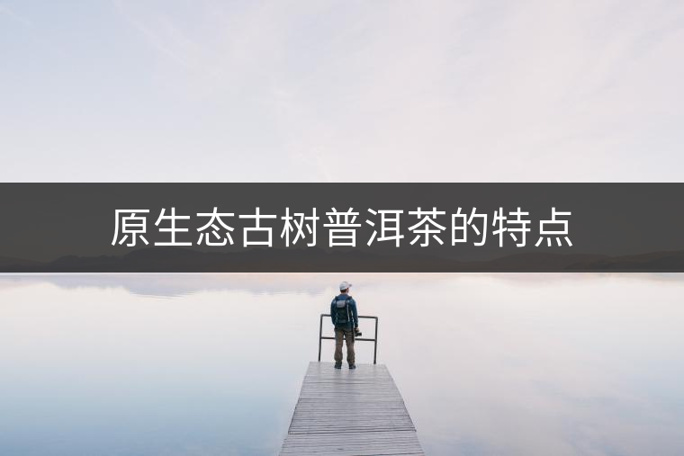 原生態(tài)古樹普洱茶的特點 原生態(tài)古樹普洱茶的特點