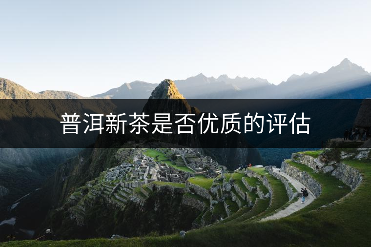 普洱新茶是否優(yōu)質的評估 普洱新茶是否優(yōu)質的評估