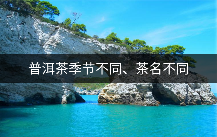 普洱茶季節(jié)不同、茶名不同