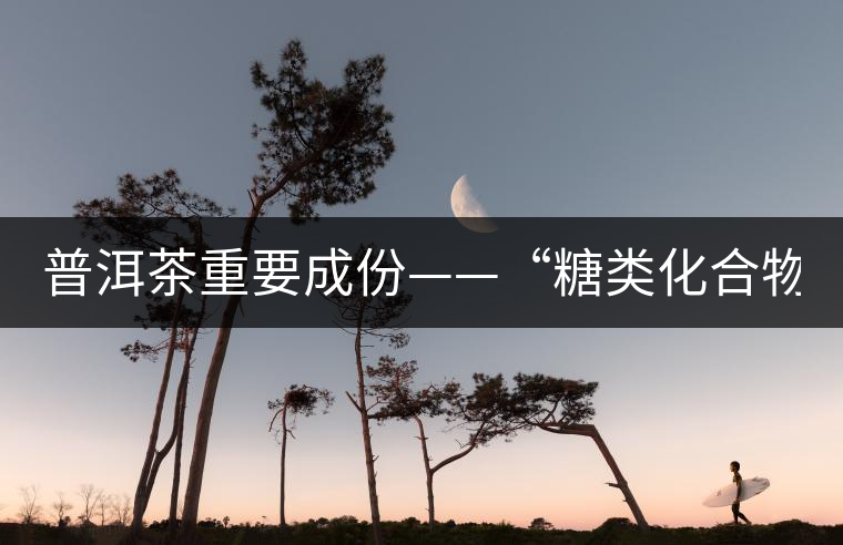 普洱茶重要成份——“糖類化合物”