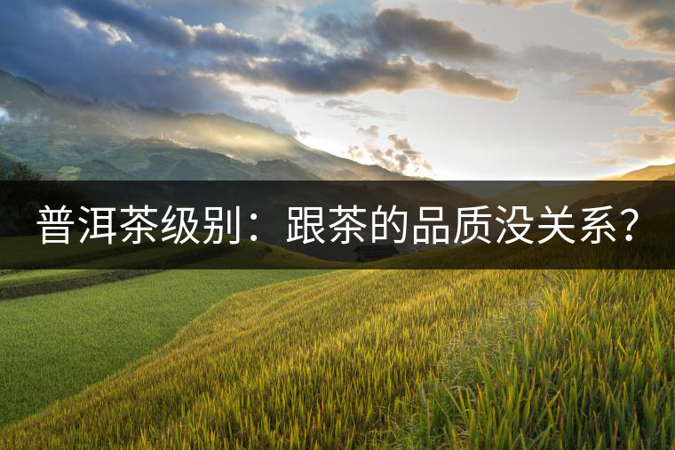 普洱茶級別：跟茶的品質(zhì)沒關(guān)系？