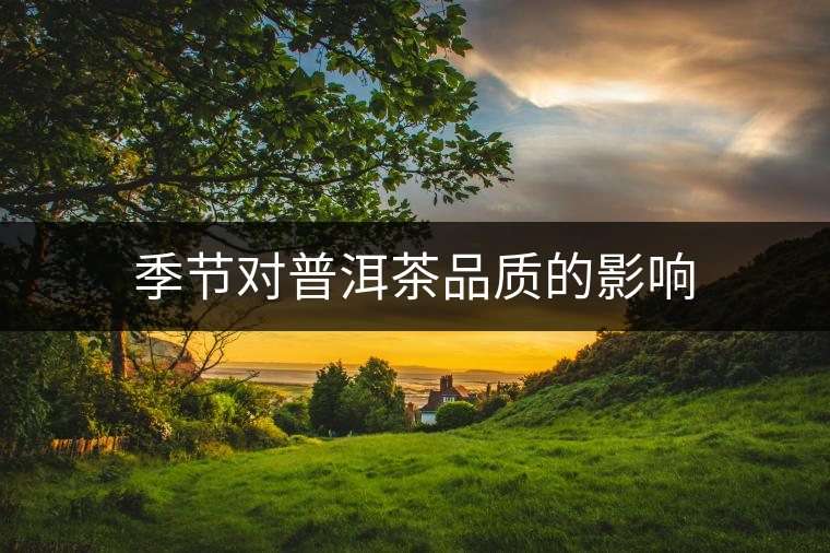 季節(jié)對普洱茶品質的影響 季節(jié)對普洱茶品質的影響