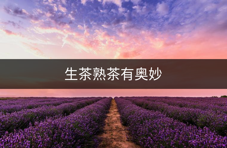 生茶熟茶有奧妙