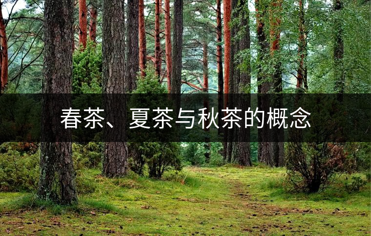 春茶、夏茶與秋茶的概念