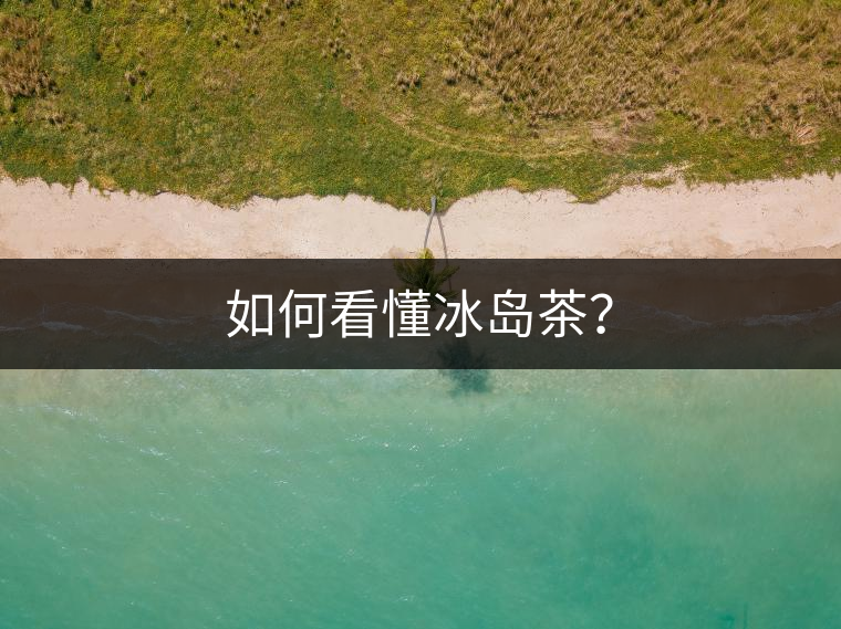 如何看懂冰島茶？