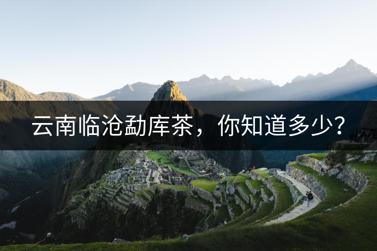 云南臨滄勐庫茶，你知道多少？