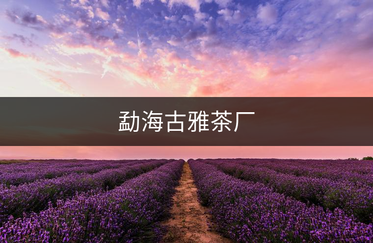 勐海古雅茶廠