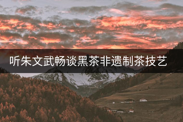 聽朱文武暢談黑茶非遺制茶技藝的市場(chǎng)的開拓之路