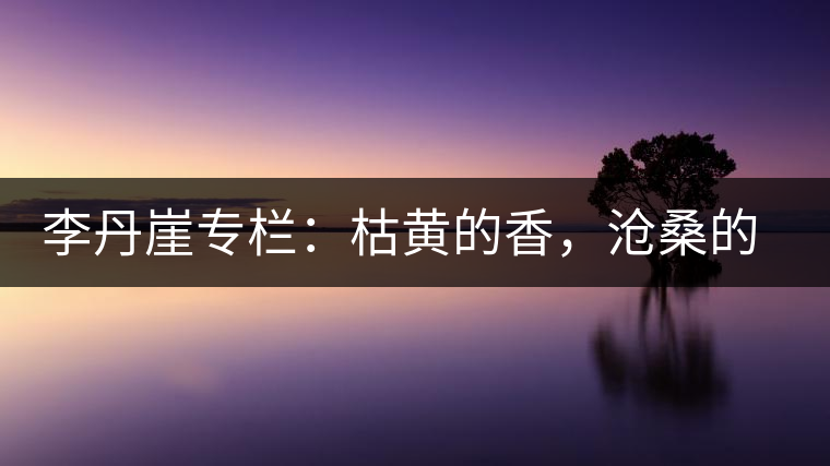 李丹崖專欄：枯黃的香，滄桑的暖