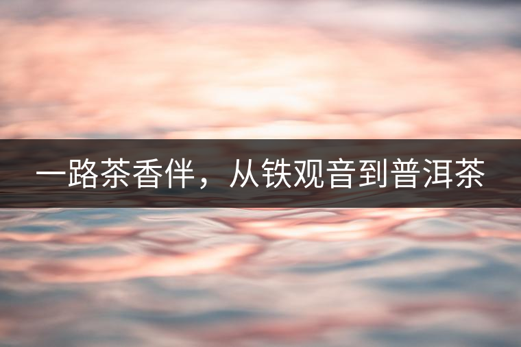 一路茶香伴，從鐵觀音到普洱茶