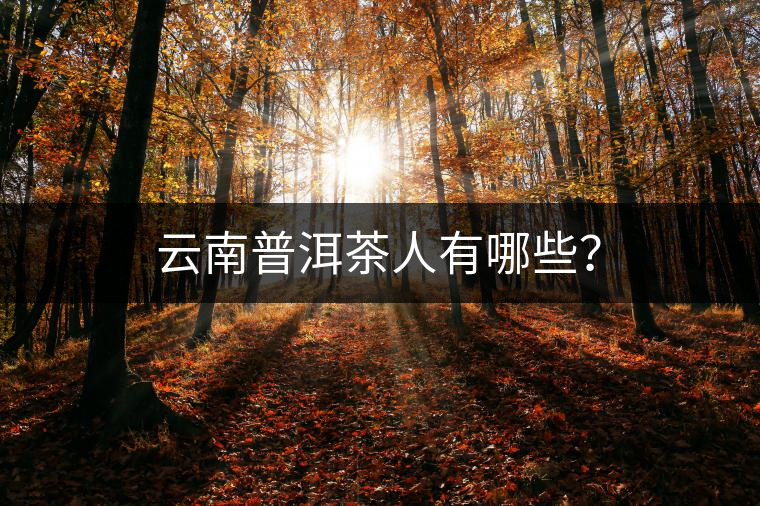 云南普洱茶人有哪些？