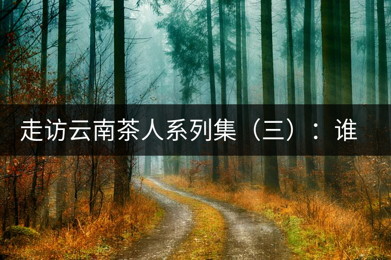 走訪云南茶人系列集（三）：誰說普洱不產(chǎn)茶？——張順高